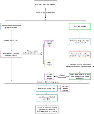 Identification of novel hub genes for Alzheimer’s disease associated with the hippocampus using WGCNA and differential gene analysis